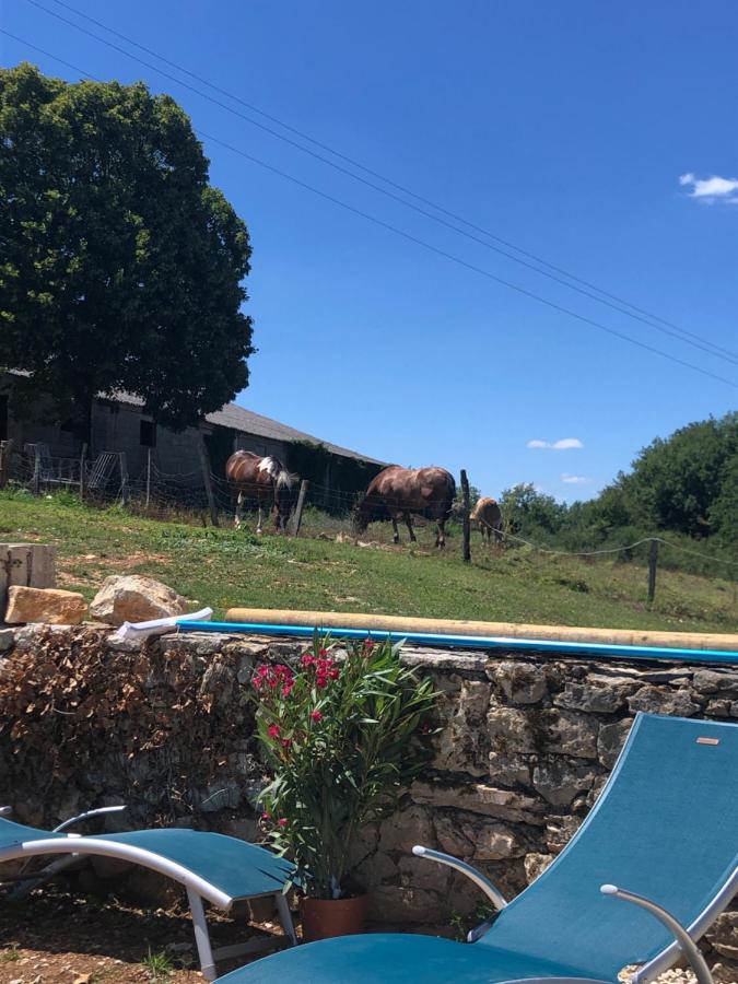 La Ferme De La Truffe Chambres D Hotes Cuzance Exterior foto